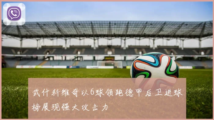 武什科维奇以6球领跑德甲后卫进球榜展现强大攻击力