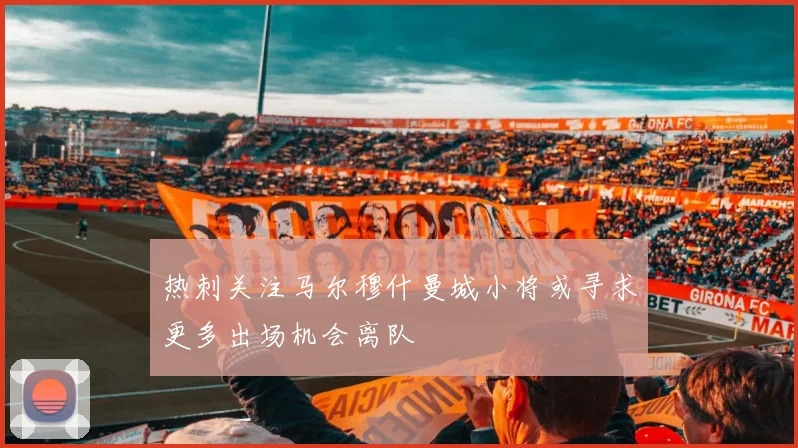 热刺关注马尔穆什曼城小将或寻求更多出场机会离队